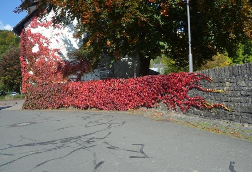 فندق Niedereher Mühle