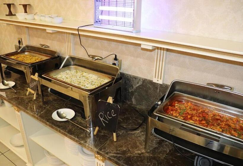 هتل Premier Palace Baku