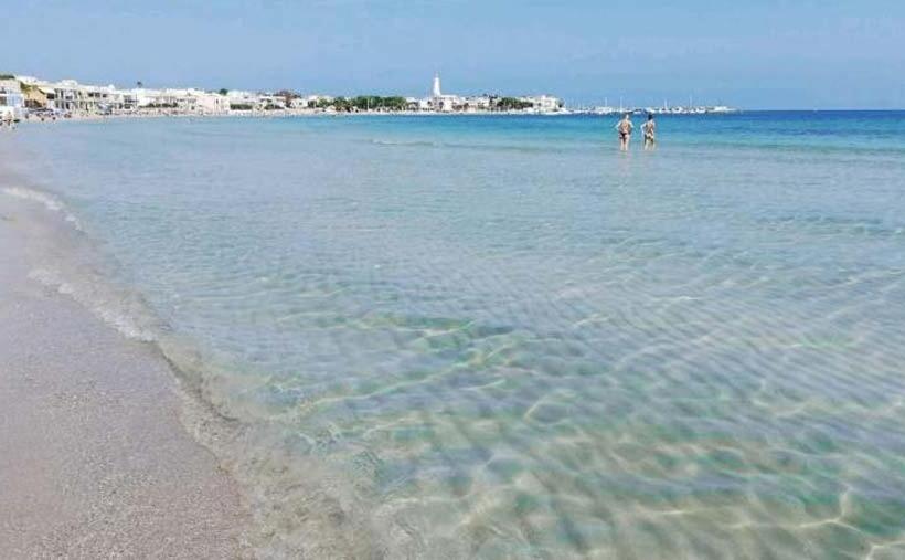 ペンション B&b Flower House