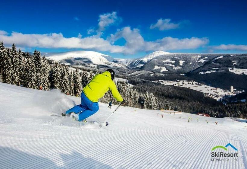 Пансион Chata Protěž