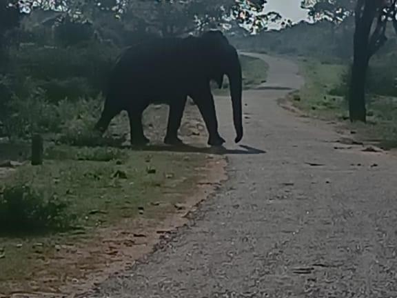 Пансион Duncan Murray Villa