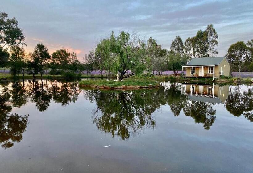 膳宿费 Farm Cottage Close To Dubbo