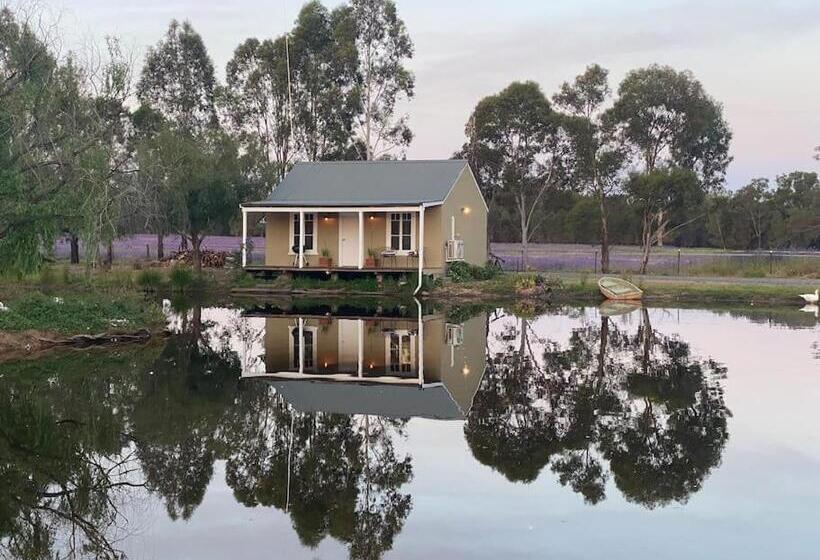 膳宿费 Farm Cottage Close To Dubbo