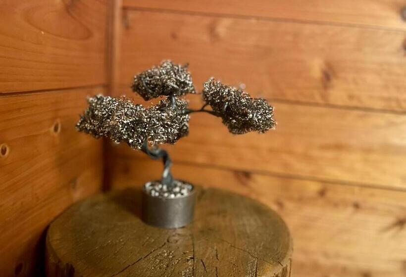 بنسيون Heidi Guest House