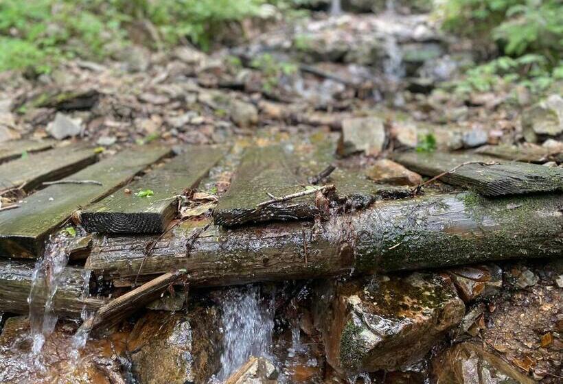 بنسيون Heidi Guest House