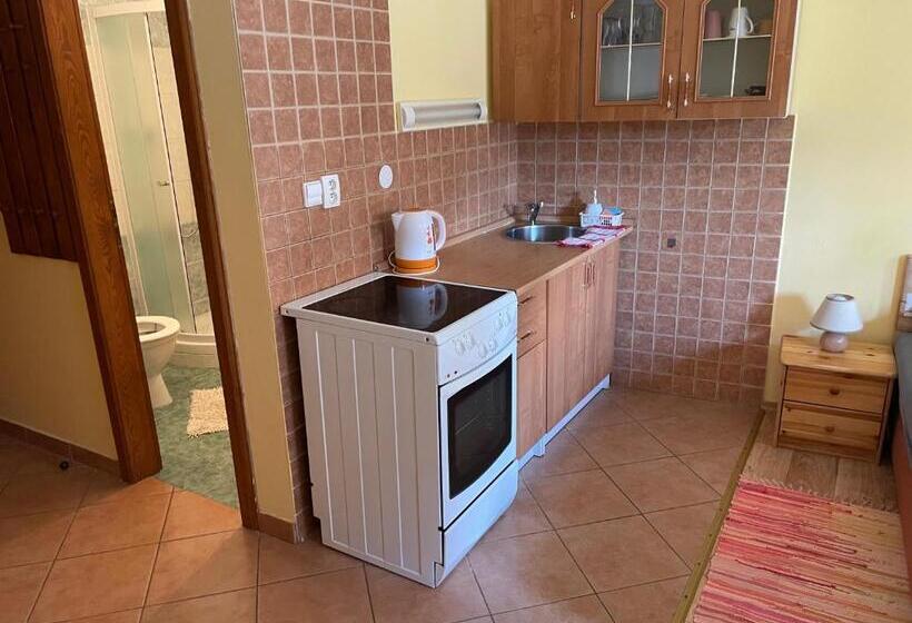 بنسيون Penzion Pod Hradbami