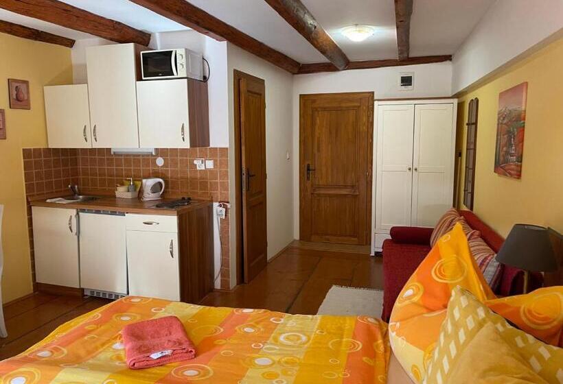 بنسيون Penzion Pod Hradbami