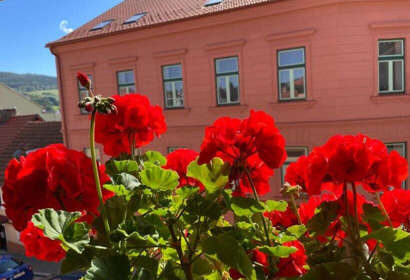 بنسيون Penzion Pod Hradbami