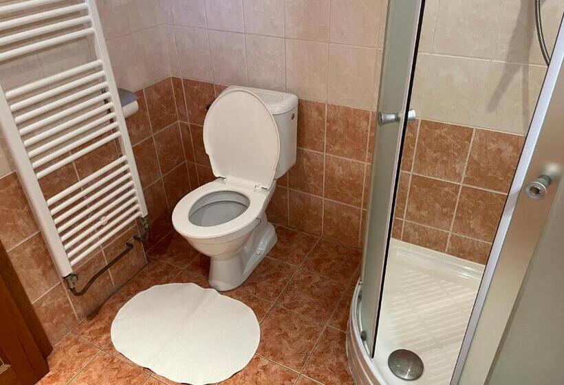 بنسيون Penzion Pod Hradbami