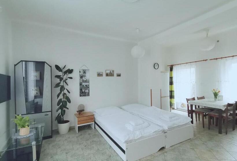 ペンション Penzion Pod Kostelíčkem