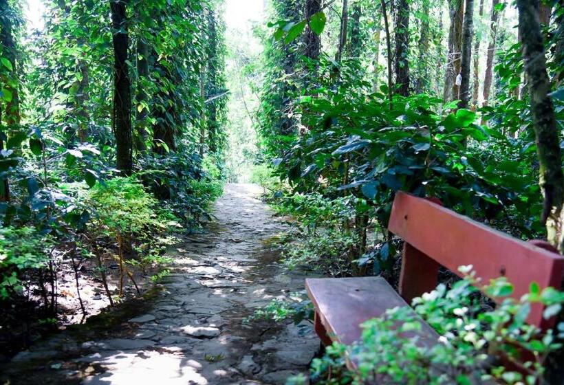 The Spectrum Resort, Chikmagalur