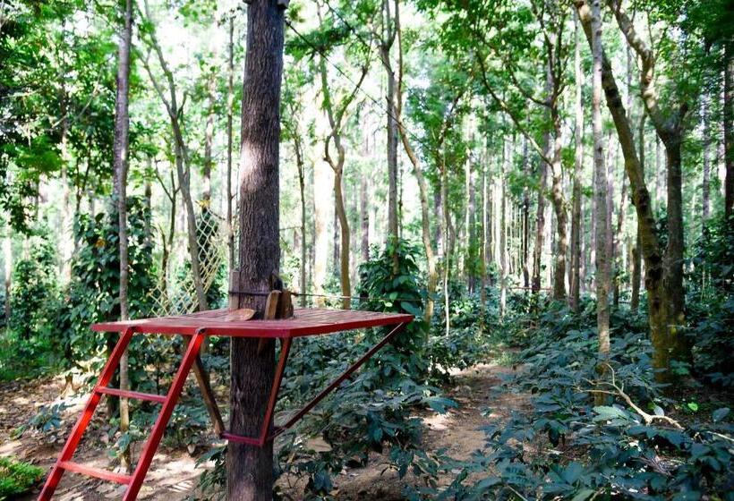 The Spectrum Resort, Chikmagalur