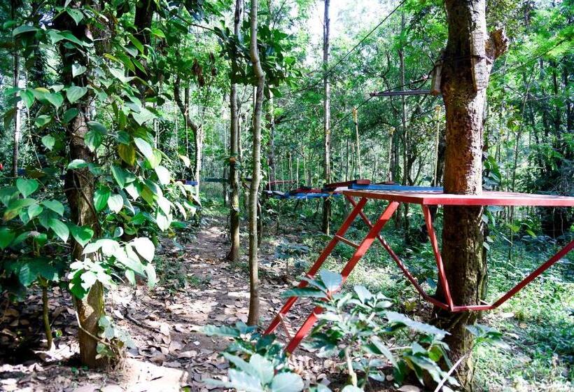 The Spectrum Resort, Chikmagalur