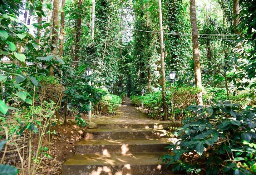 The Spectrum Resort, Chikmagalur