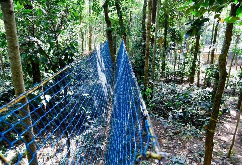 The Spectrum Resort, Chikmagalur
