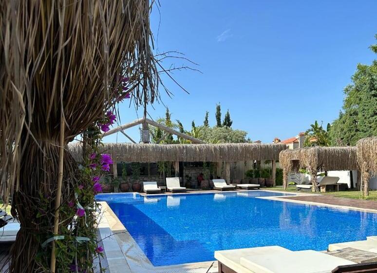 Albeon Luxury Hotel   Alacatı