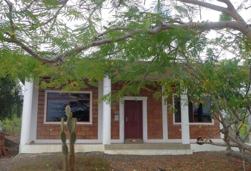 هاستل Black Beach House