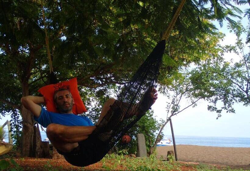 هاستل Black Beach House