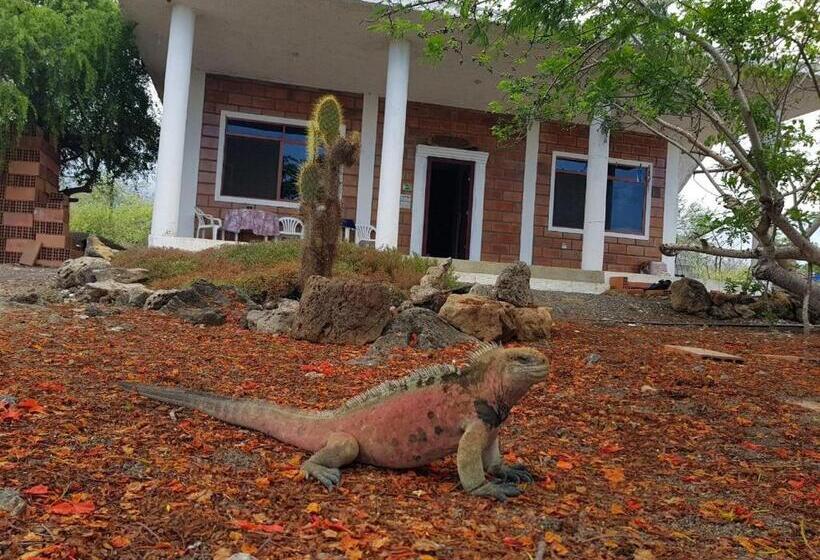 هاستل Black Beach House