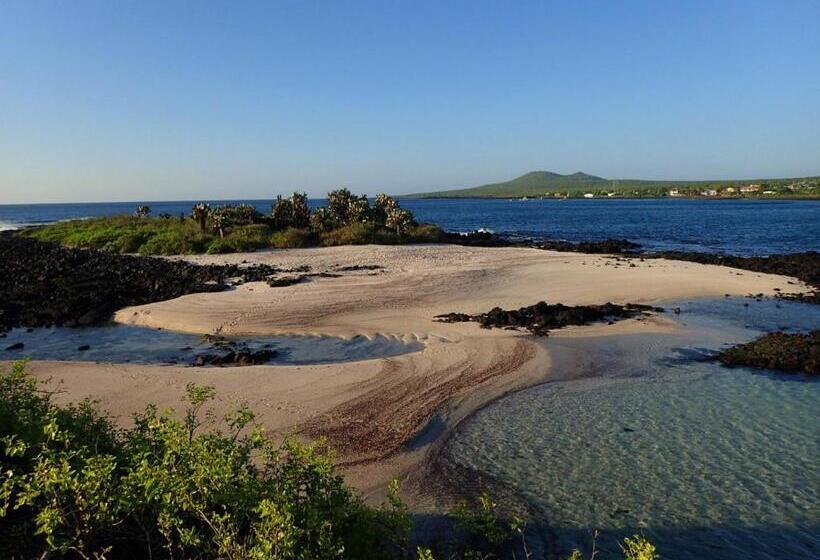 هاستل Black Beach House