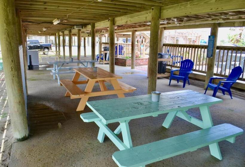 فندق صغير Blue Dolphin Inn And Cottages