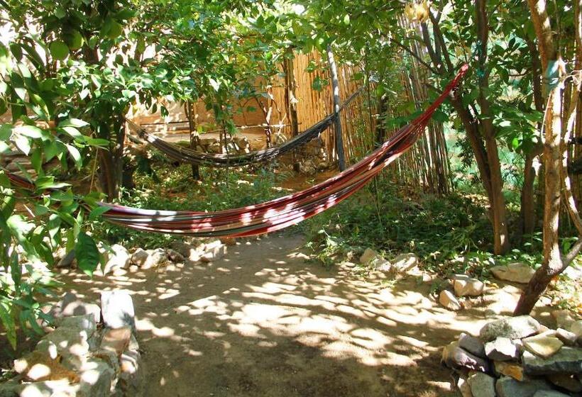 فندق صغير Cabaña Hostal Ema