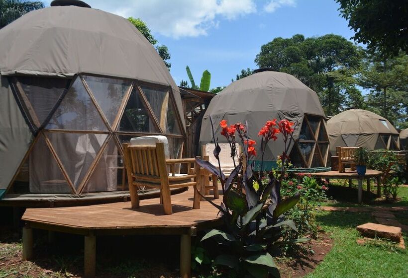 هاستل Jinja Backpackers