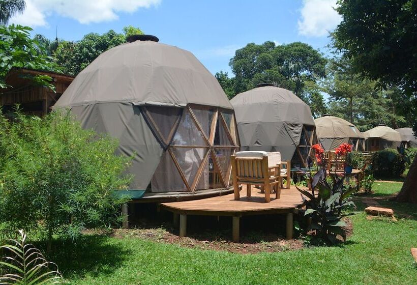 هاستل Jinja Backpackers