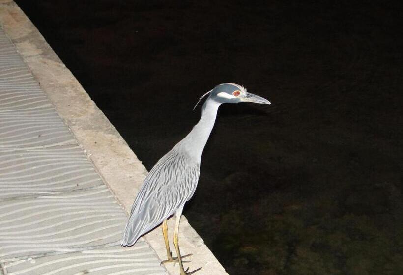 ユースホステル Posada Sunshine Paradise