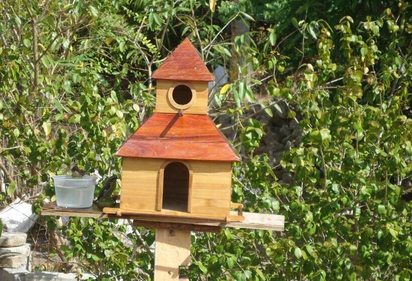 هاستل Posada Sunshine Paradise