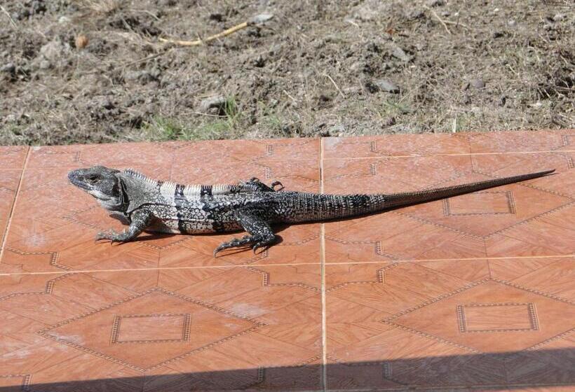 ユースホステル Posada Sunshine Paradise