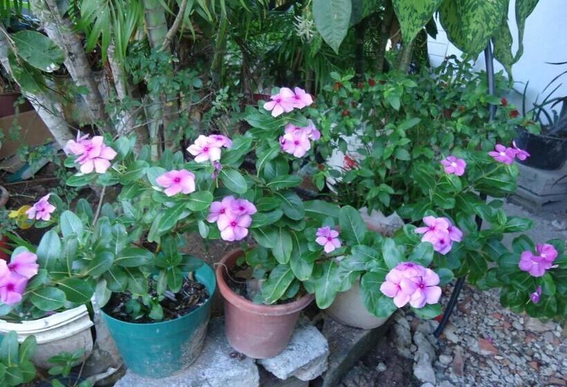 ユースホステル Posada Sunshine Paradise