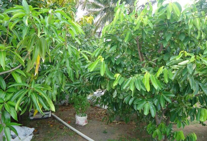 ユースホステル Posada Sunshine Paradise