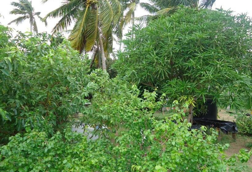 هاستل Posada Sunshine Paradise