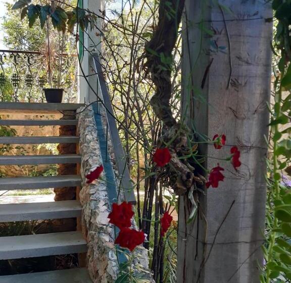 Общежитие Pousada Manacás