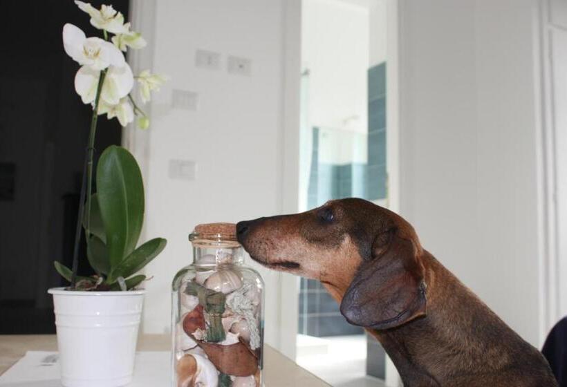 تختخواب و صبحانه One More Night