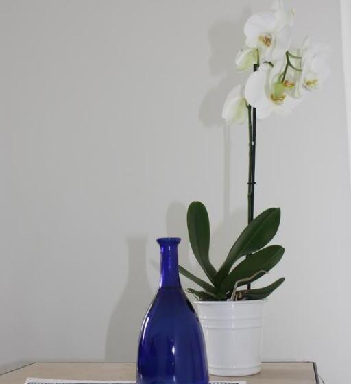 تختخواب و صبحانه One More Night