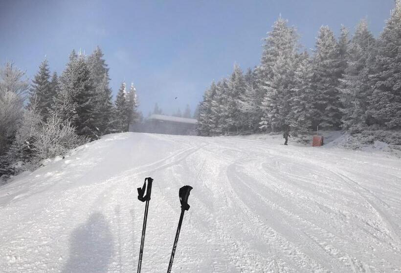 민박 Pension Slunečná