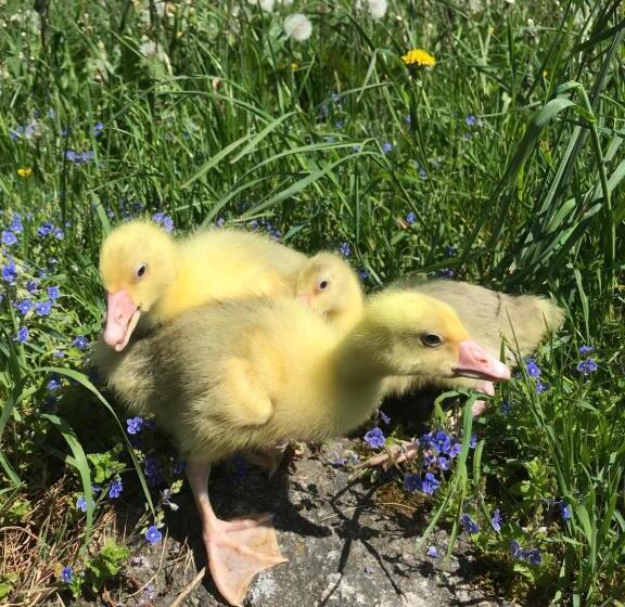 민박 Pension Slunečná