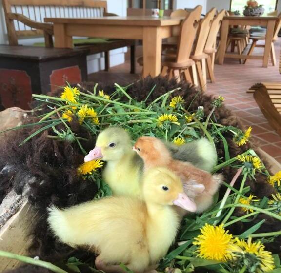 민박 Pension Slunečná