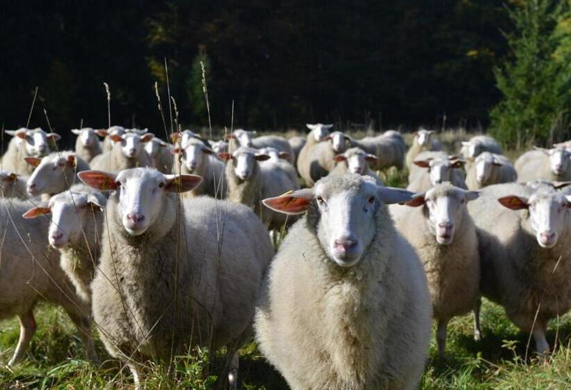 민박 Pension Slunečná