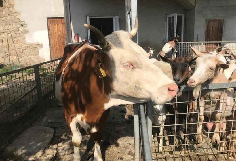 민박 Pension Slunečná