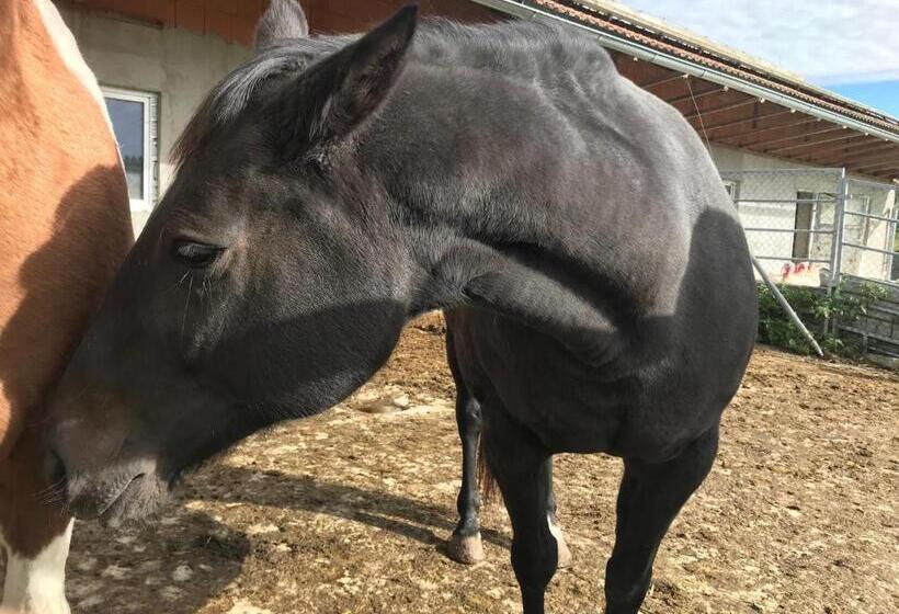 민박 Pension Slunečná