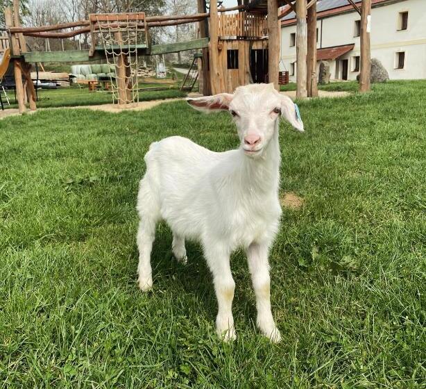 민박 Pension Slunečná