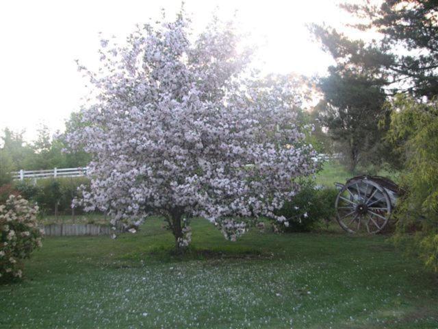 Hawk S Nest Bed & Breakfast