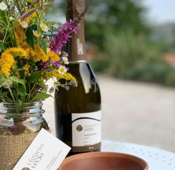 ホテル Agriturismo Vigneto Vecio