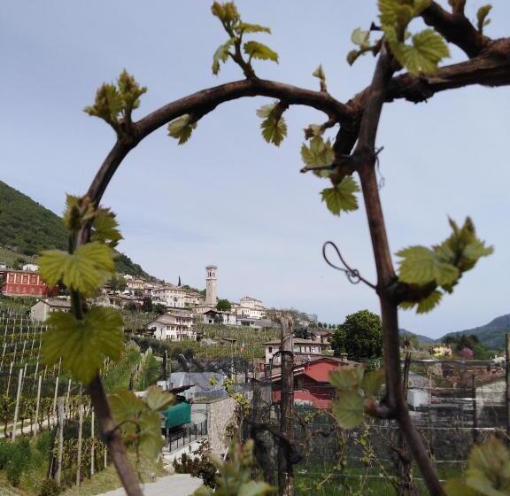 ホテル Agriturismo Vigneto Vecio