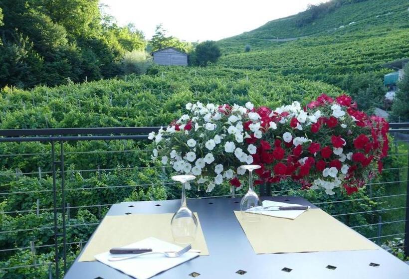 ホテル Agriturismo Vigneto Vecio