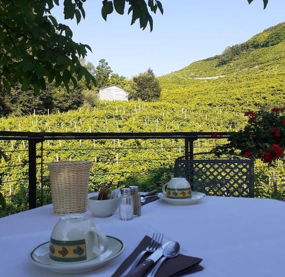 ホテル Agriturismo Vigneto Vecio