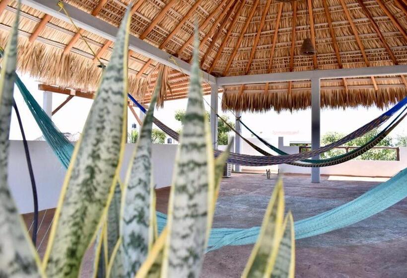 هتل Carri Surf Studio